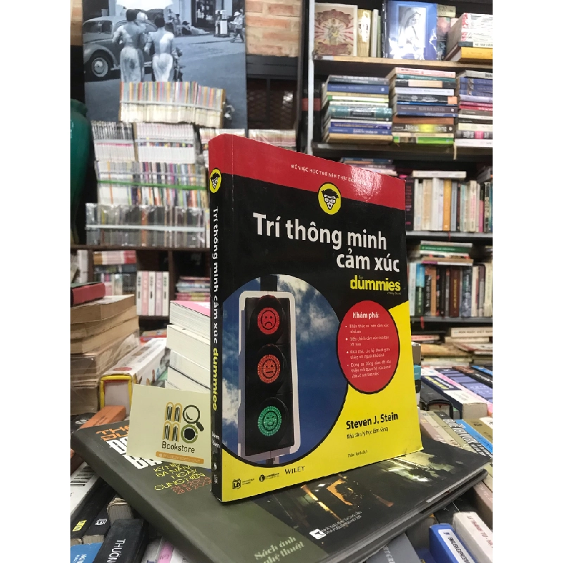 TRÍ THÔNG MINH CẢM XÚC - STEVEN J. STEIN 138666