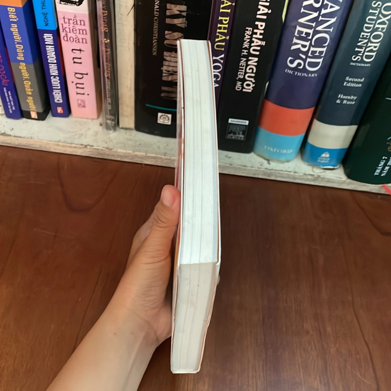 II Books: 도파민네이션 _ Dopamine Nation (쾌락 과잉 시대에서 균형 찾기) - ANNA LEMBKE 539956