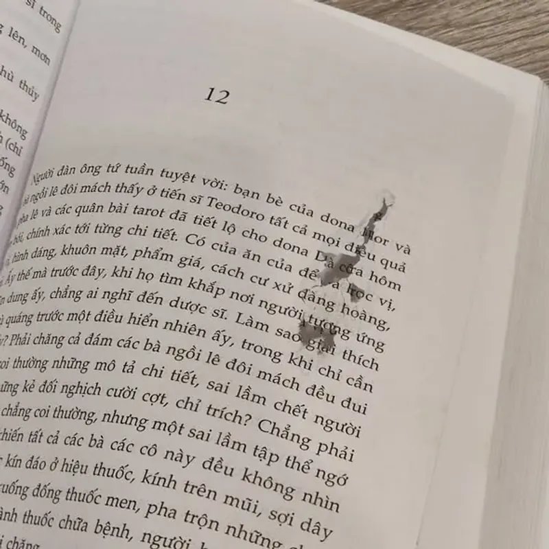 Dona Flor và hai người chồng - Jorge Amado (Kiệt tác của tượng đài văn học Braxin) 759502