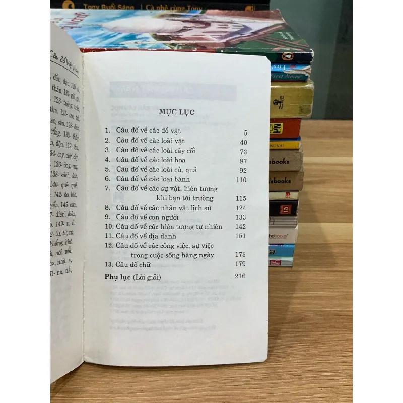 Câu đố Việt Nam – Ngọc Hà 576177