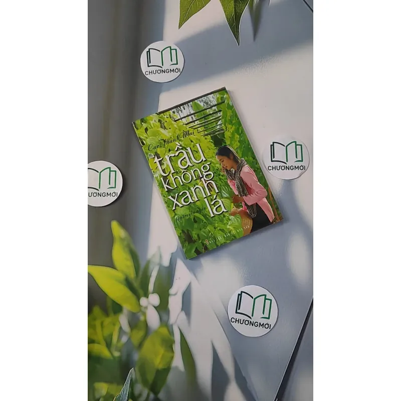 Trầu Không Xanh Lá - Cao Thanh Mai 798319