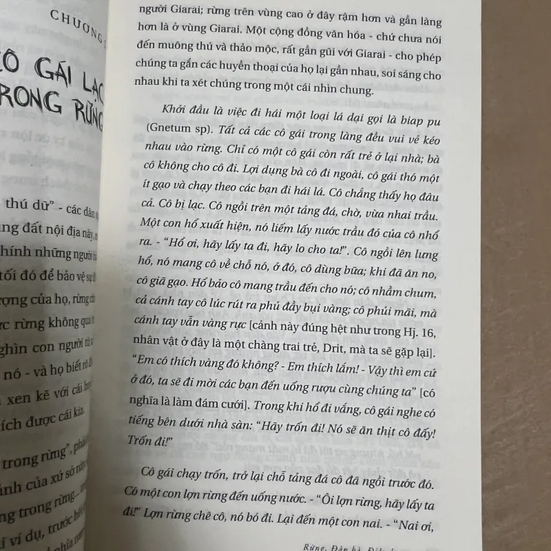 Rừng Đàn Bà điên loạn 1023009