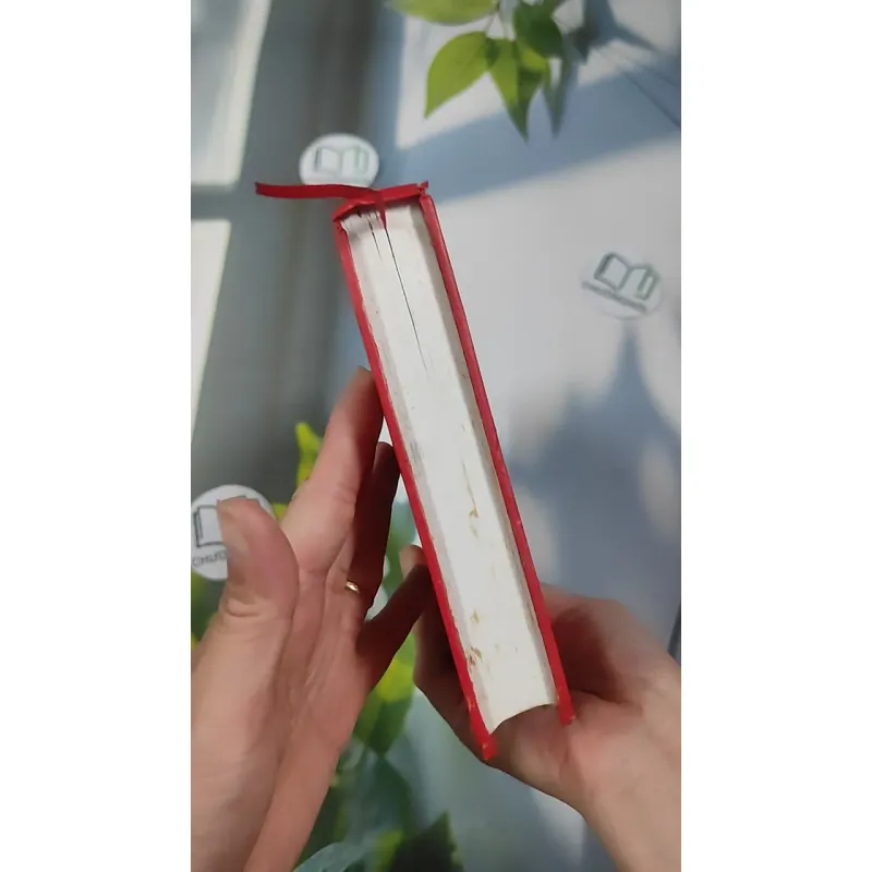 Chuyện Tình Vua Chúa Hoàng Tộc Việt Nam - Đinh Công Vĩ 990453