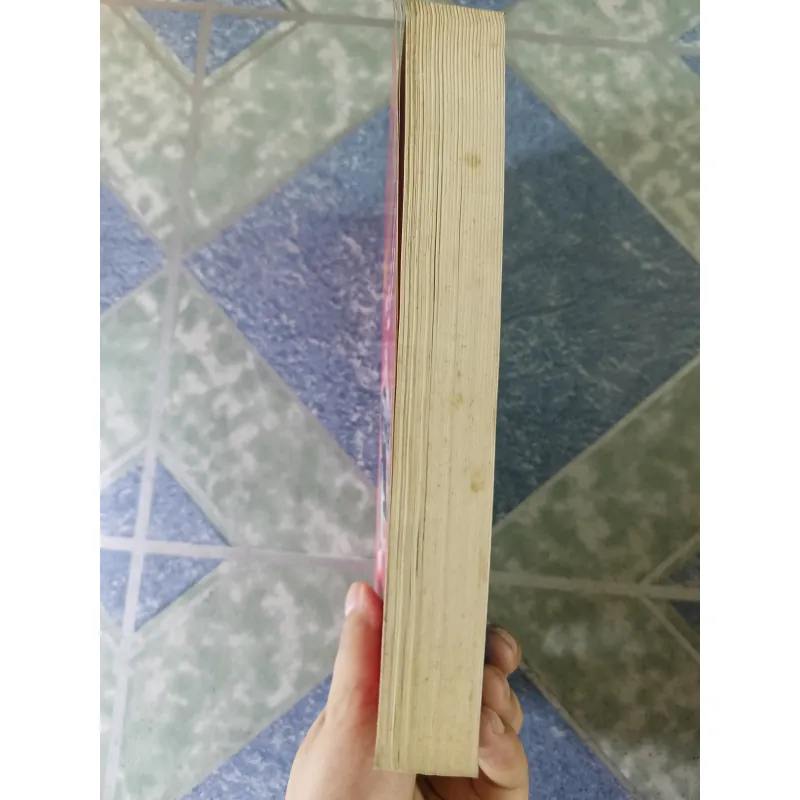 Trung Quốc năm 1989 ( hay Trung Hoa qua lời kể của 1 Phu nhân Đại xứ) - Nhiều tác giả 740694