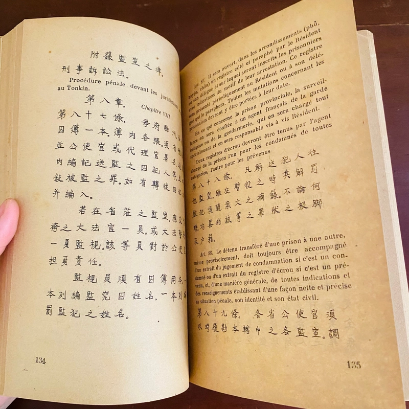 Thiên Hồ! Đế Hồ! - Phan Bội Châu 529126