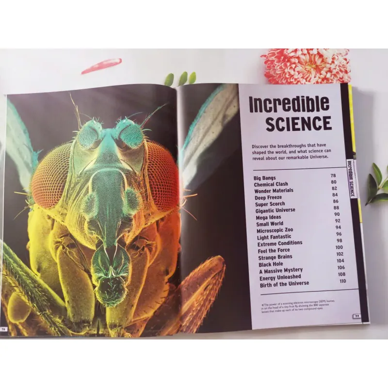 Discover the Extreme World 934756