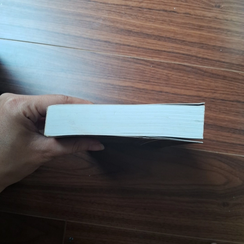 Thanh giươm công lý 505800