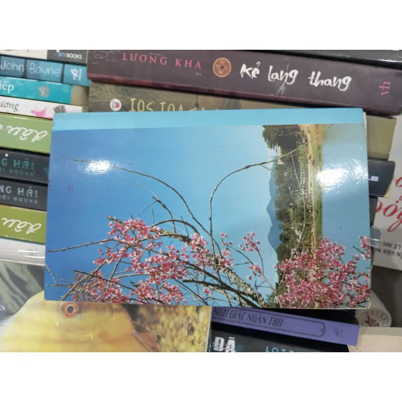 Đà Lạt LangBiang _ Võ Lệ Hồng 977240