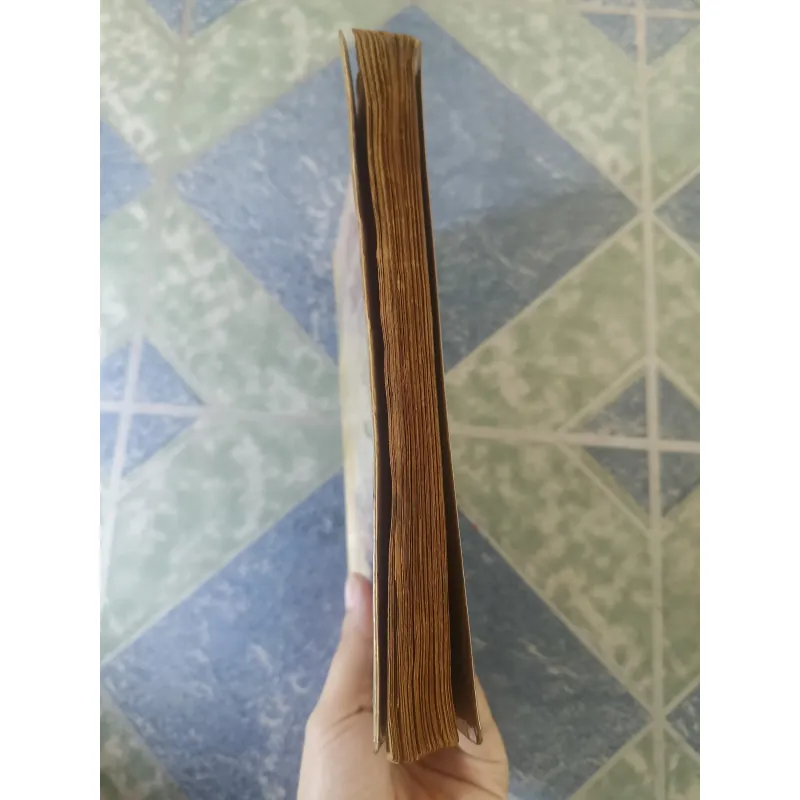 Quyền thuật Thiếu Lâm Tự - Trần Tuấn Kiệt 708648