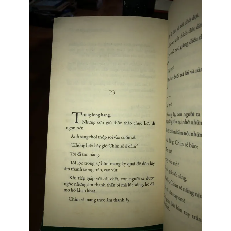 Vào cõi - Nguyễn Bình Phương  1018611