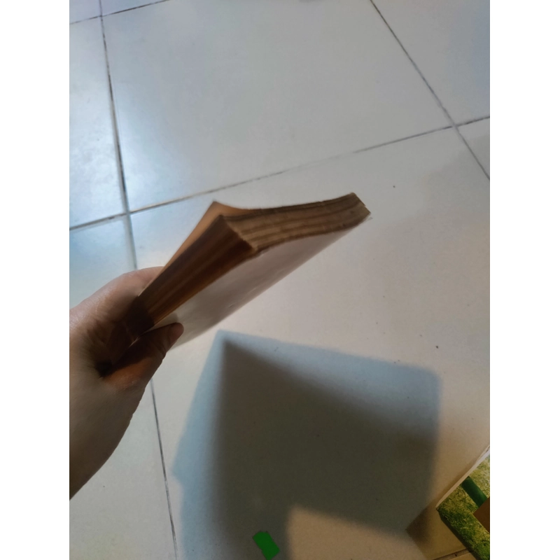 Đêm về lá rụng 477150