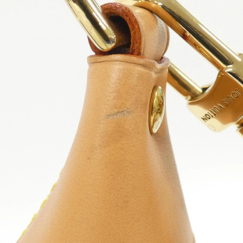 Túi đeo vai Louis Vuitton Monogram Loop M81098 608810