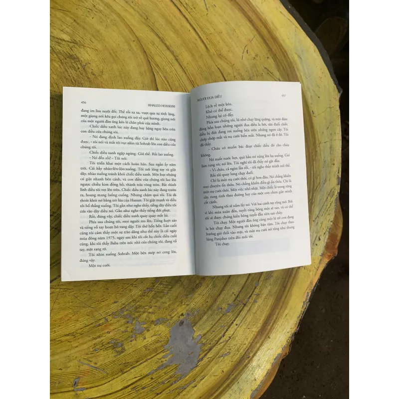 COMBO NGƯỜI ĐUA DIỀU & NGÀN MẶT TRỜI RỰC RỠ 745813