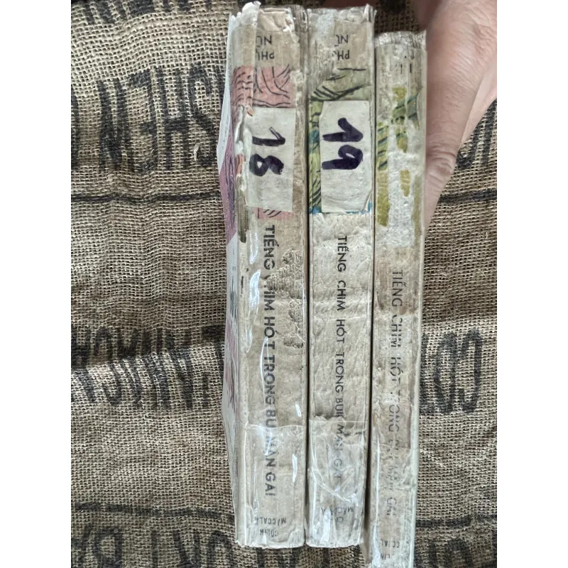 Tiếng chim hót trong bụi mận gai - trọn bộ 3 tập  1004282