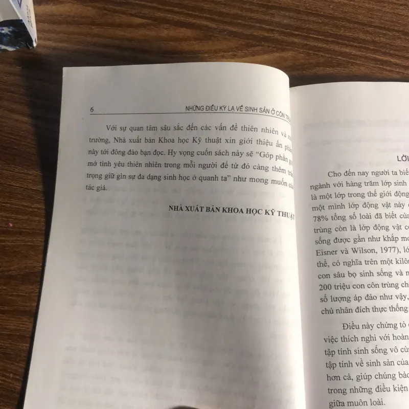 Những điều kỳ lạ về sinh sản ở côn trùng 989816