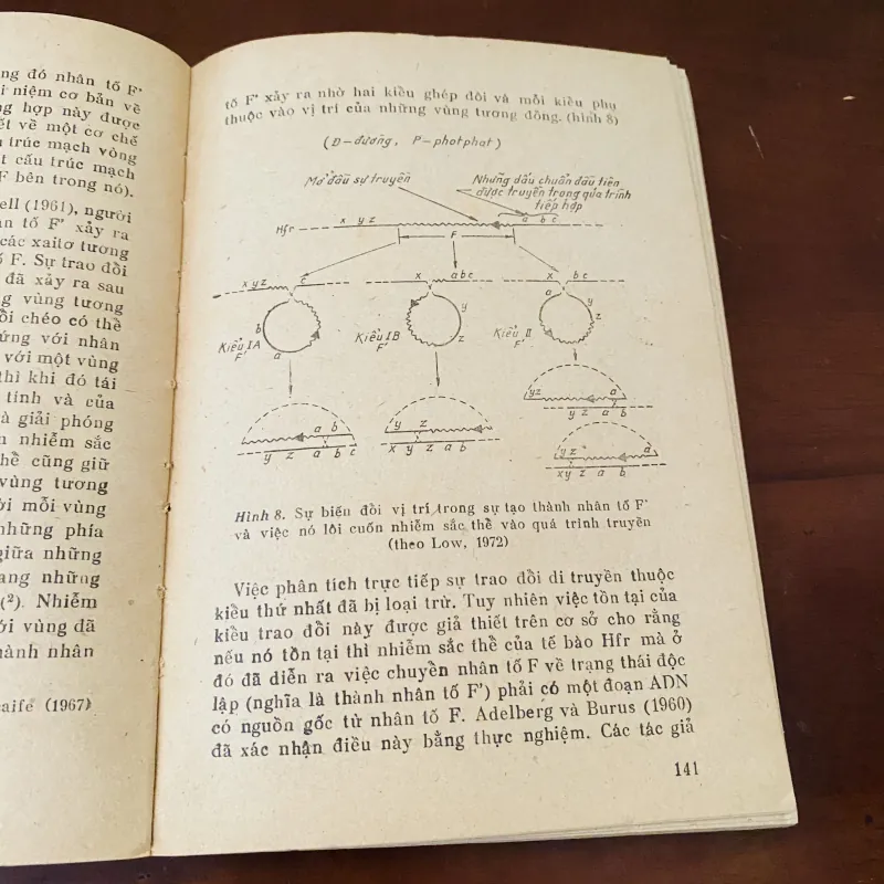 Di truyền học vi khuẩn (1983) 975911