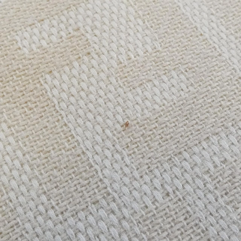 Túi xách vai Fendi Baguette 26424 - Hàng hiệu Chính hãng 802536