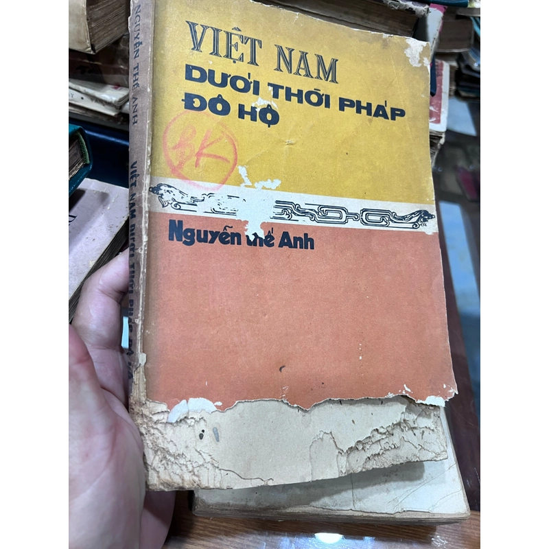 Việt Nam thời Pháp đô hộ - Nguyễn Thế Anh 365744