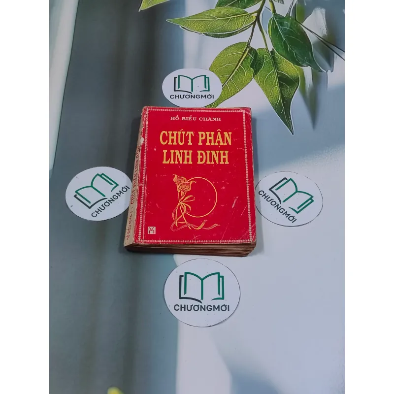 Chút Phận Linh Đinh (1996) - Hồ Biểu Chánh 674979