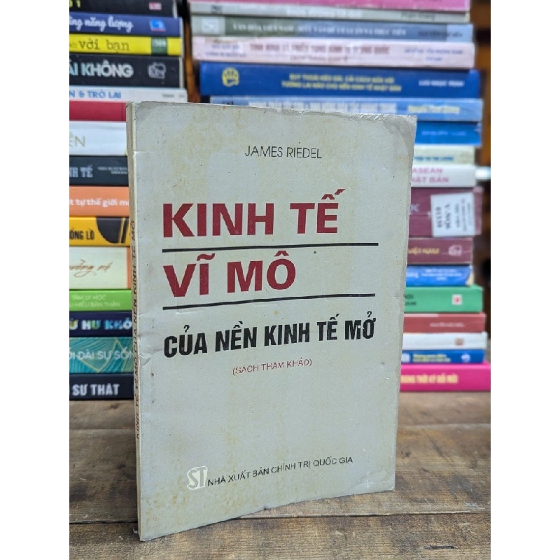 KINH TẾ VĨ MÔ CỦA NỀN KINH TẾ MỞ - JAMES RIEDEL 317140