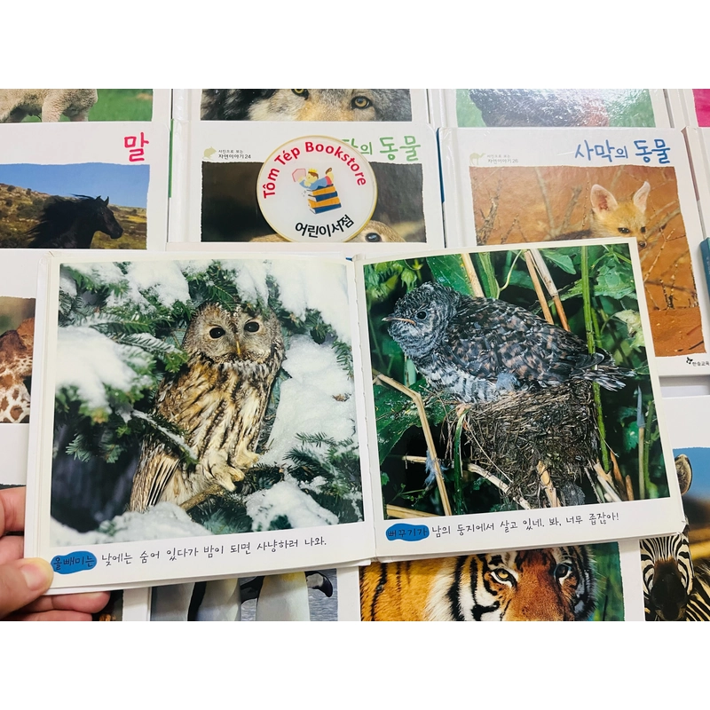 𝐒𝐚́𝐜𝐡 𝐚̉𝐧𝐡 𝐯𝐞̂̀ 𝐭𝐮̛̣ 𝐧𝐡𝐢𝐞̂𝐧 tiếng Hàn 사진으로 보이는 자연 이야기  496926