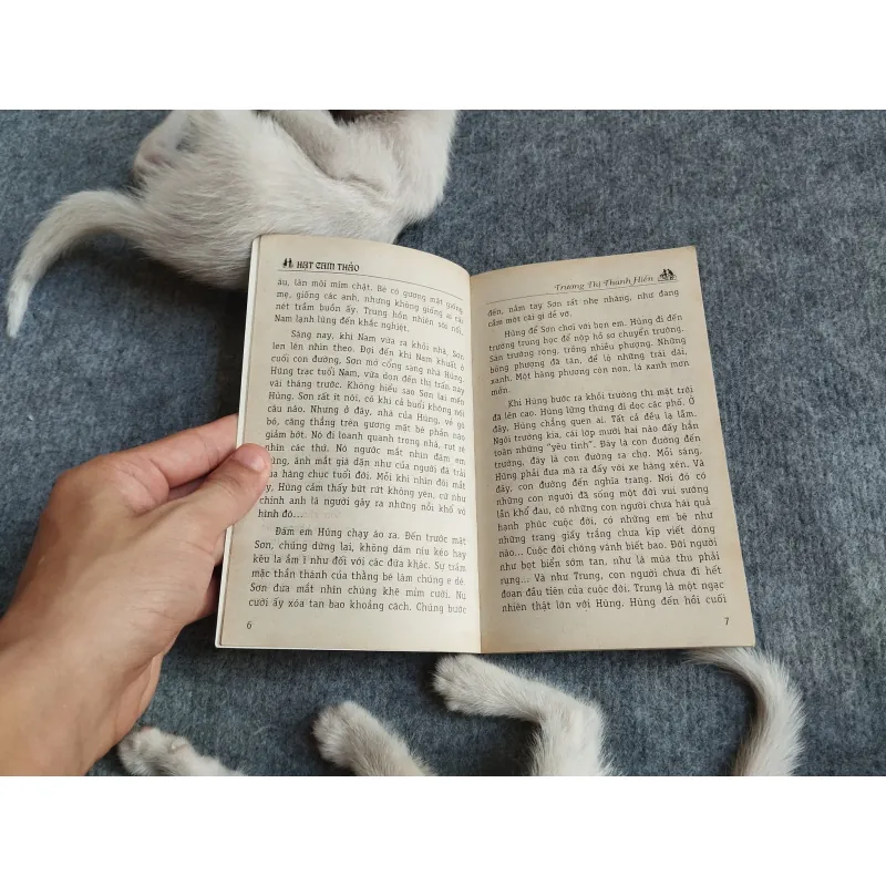 HẠT CAM THẢO - TRƯƠNG THỊ THANH HIỀN 567779