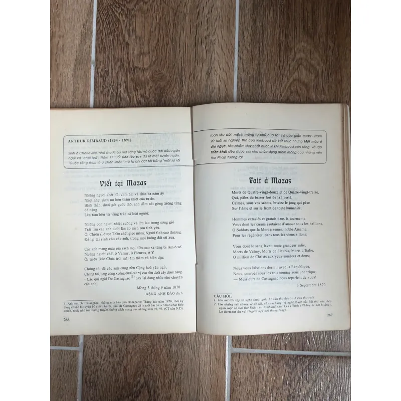 Lịch Sử Văn Học Pháp Thế KỶ XIX - Tuyển Tập Rimbaud, Baudelaire,... (Sách Hiếm/Sưu Tầm) 738001