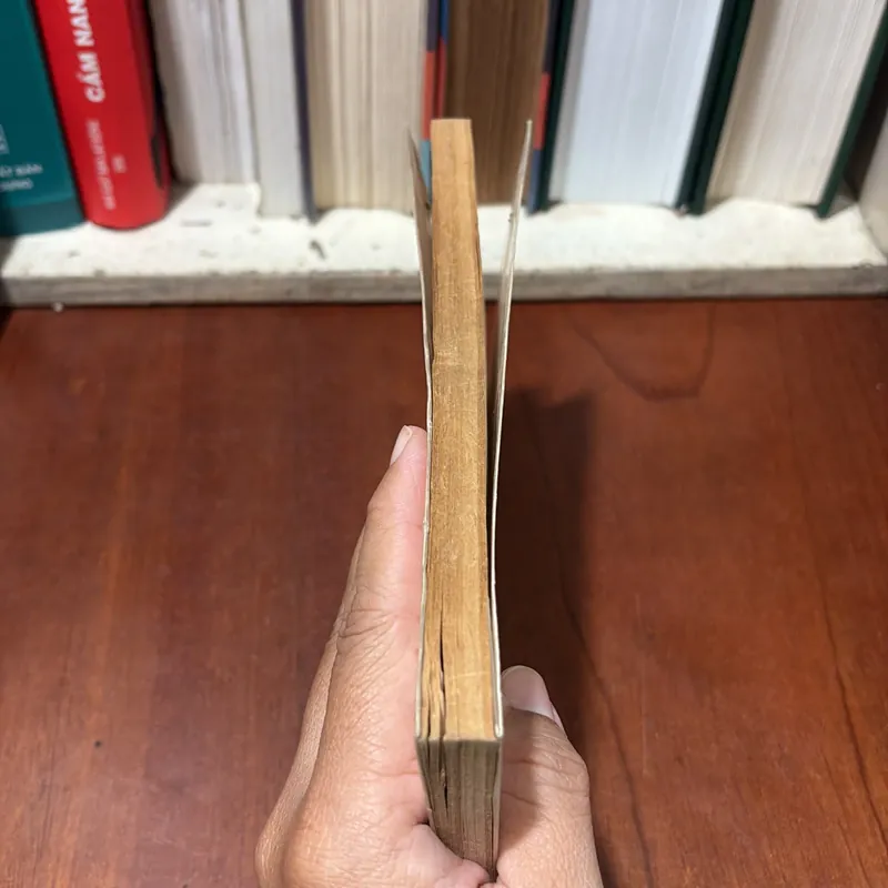 II Tủ Sách Văn Học Trong Nhà Trường: Đỗ Phủ - Phó Tiến Sĩ Hồ Sĩ Hiệp (Biên Soạn) - 1999 722442