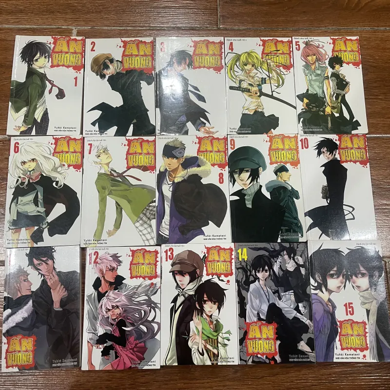 Ẩn Vương trọn bộ 15 tập  (18) 989844