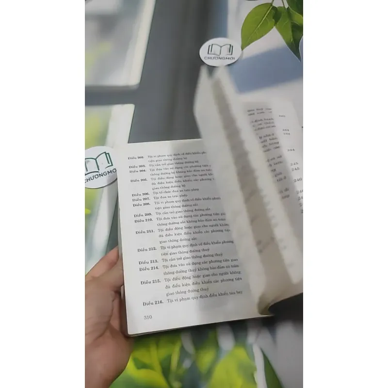 Bộ Luật Hình Sự Năm 1999  Được Sửa Đổi, Bổ Sung 2009 727364