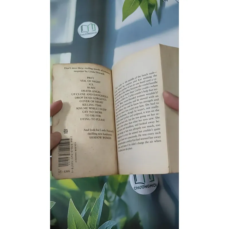 Running Wild - Linda Howard & Linda Jones 1027589