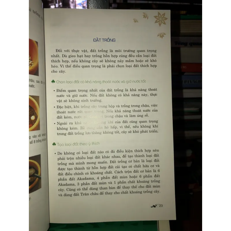 Phương pháp trồng 100 loài hoa trong chậu - Lưu Chí Tùng 785795