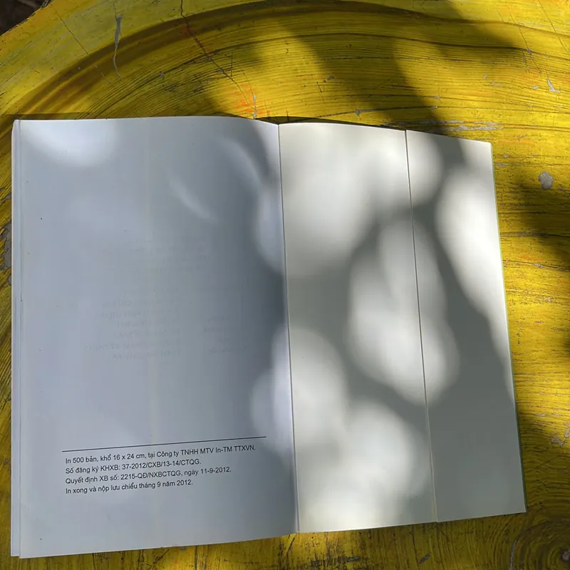 COMBO HỒ CHÍ MINH NGÔI SAO SÁNG MÃI TRÊN BẦU TRỜI VIỆT NAM& BÁC HỒ VỚI CÁC TỔNG THỐNG MỸ 735844