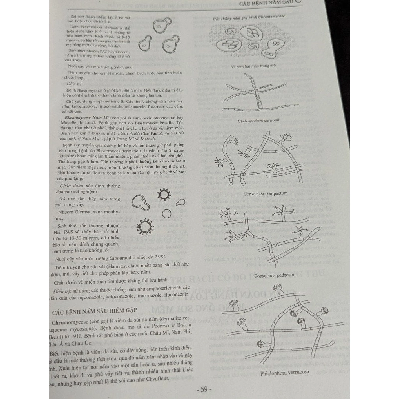 Bách khoa thư bệnh học - Phạm Song và Nguyễn Hữu Quỳnh 784085