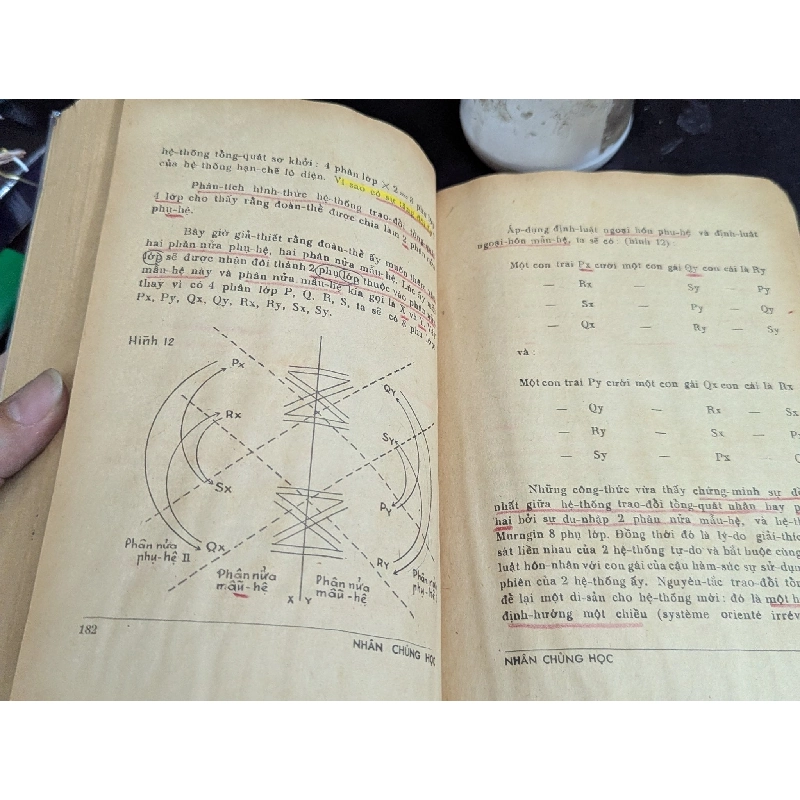 Nhân chủng học lược khảo thân tộc học - Bửu Lịch 127817