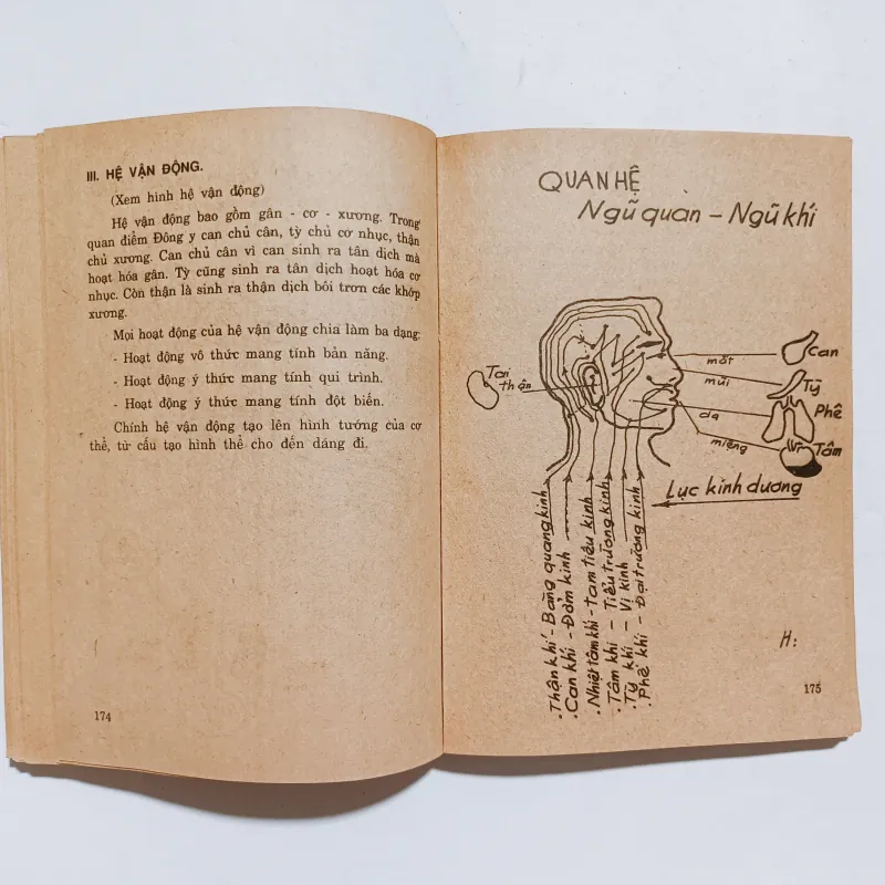 Khí Công Chữa Bệnh - Hoàng Vũ Thăng ( 2 Tập) 972771