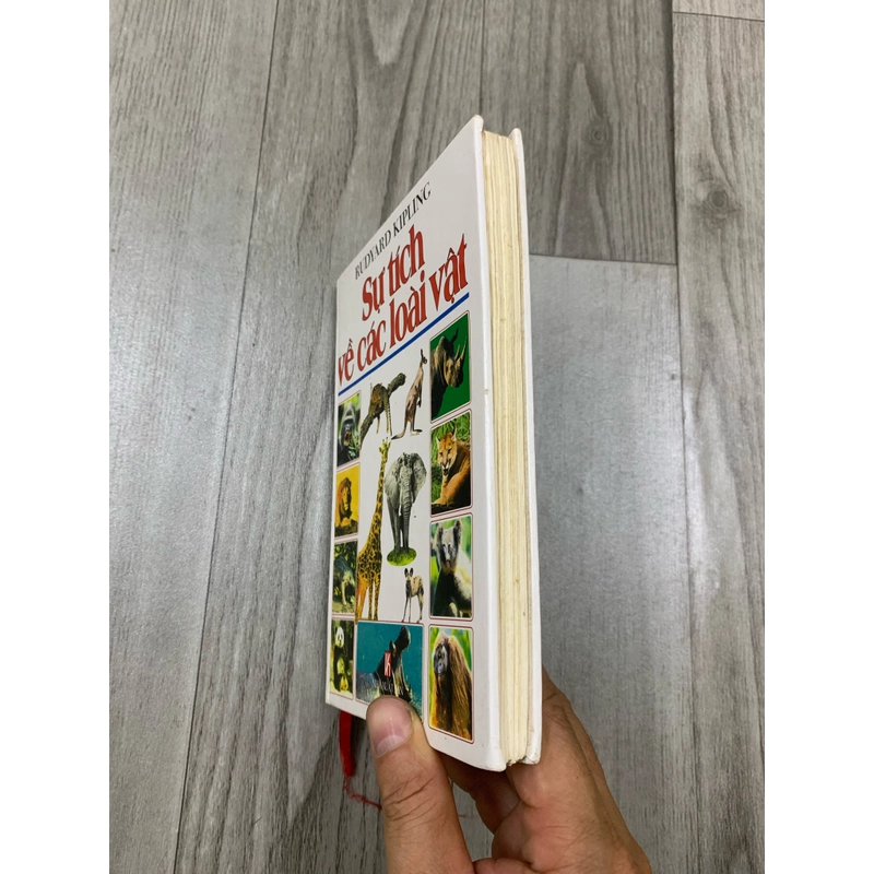 Sự tích về các loài vật. 999 466354