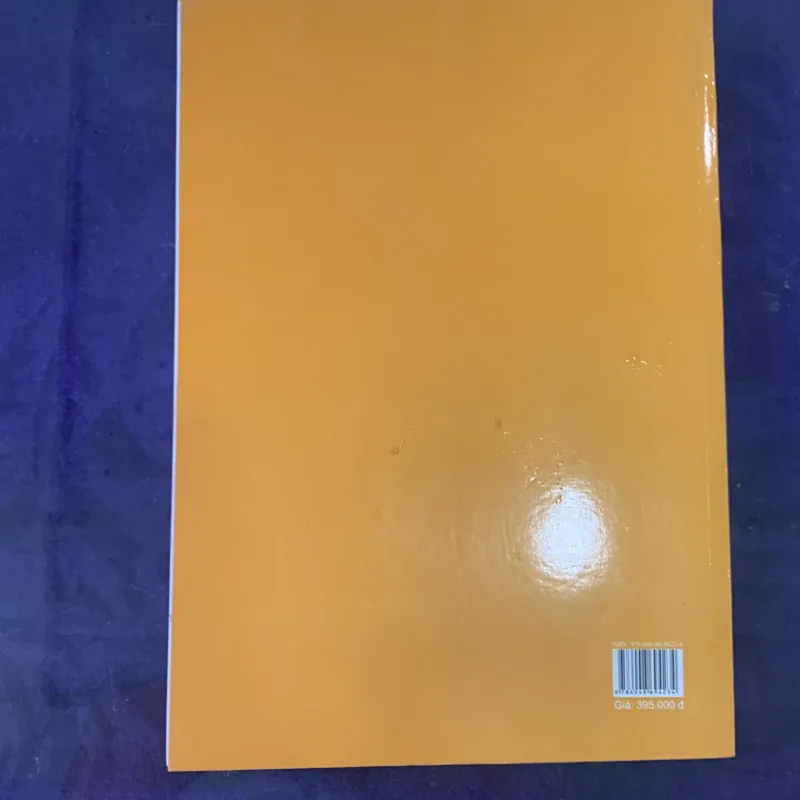 Bộ Luật lao động năm 2020 800032