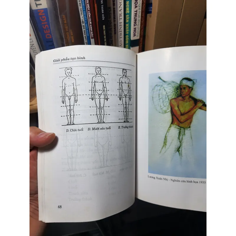 Giải phẫu tạo hình 700937