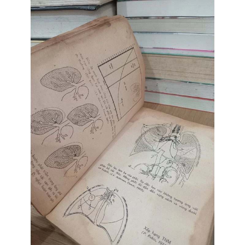 Ung thư học lâm sàng - Nguyễn Chấn Hùng 730890