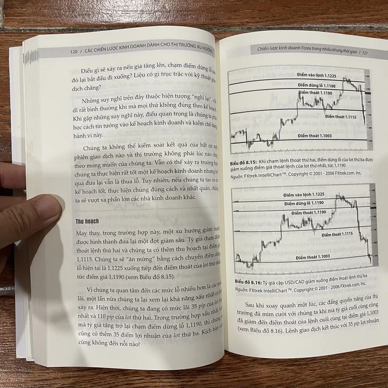  trường ngoại hối - Ed Ponsi (6) 733481