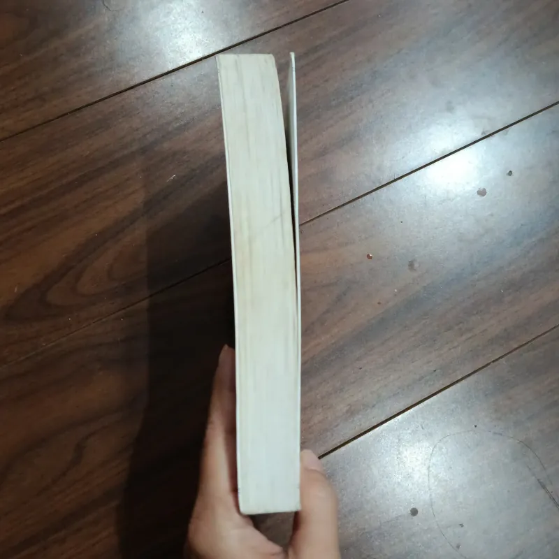 Chú chó nhìn thấy gì 757431