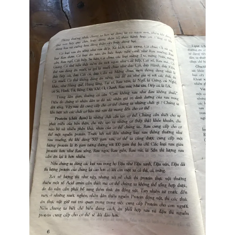 Cây rau làm thuốc 1000566