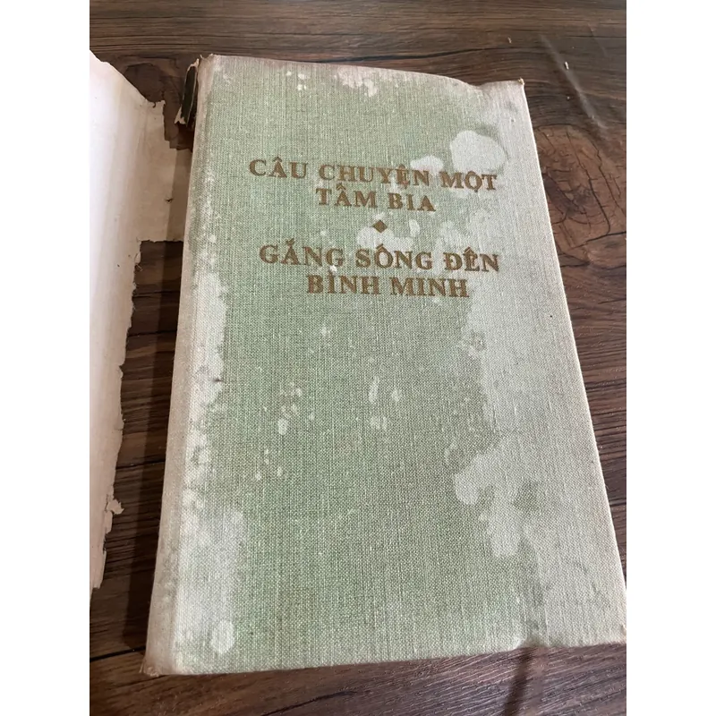 CÂU CHUYỆN MỘT TẤM BIA- GẮNG SỐNG ĐẾN Bình MINH  - NXB Cầu Vồng, in tại Nga  571302