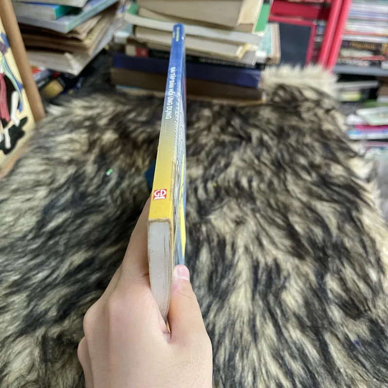 Bài tập đàn hồi ứng dụng 655567