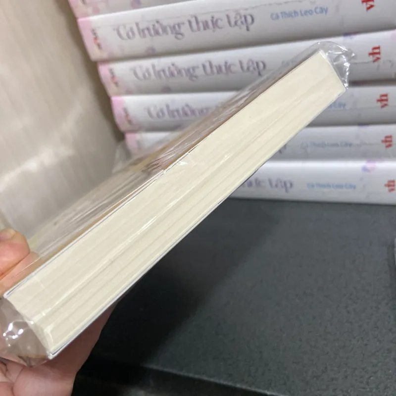 (Tiểu thuyết) - Lời Hứa - Damon Galgut 990969