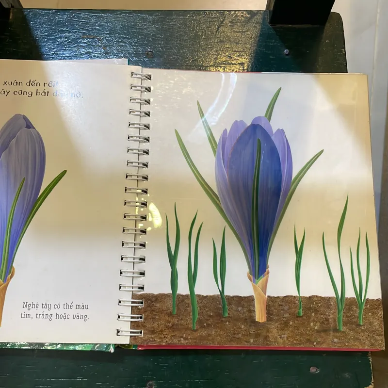 Những khám phá đầu tiên của tớ - Hoa - nhã nam 2018  1027415