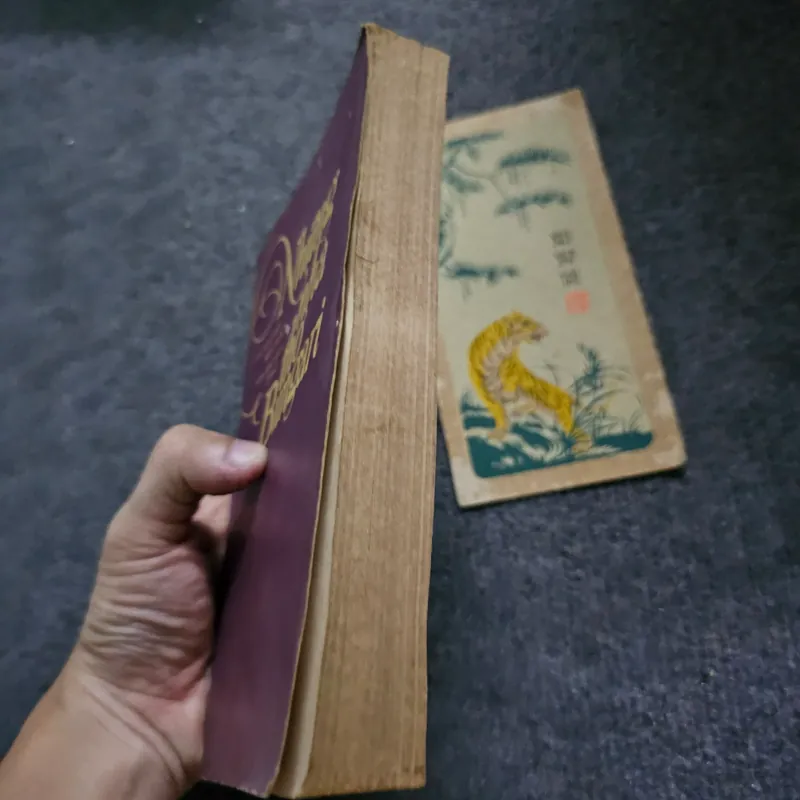 Những nhà thơ Bungari - Xuân Diệu dịch 733970