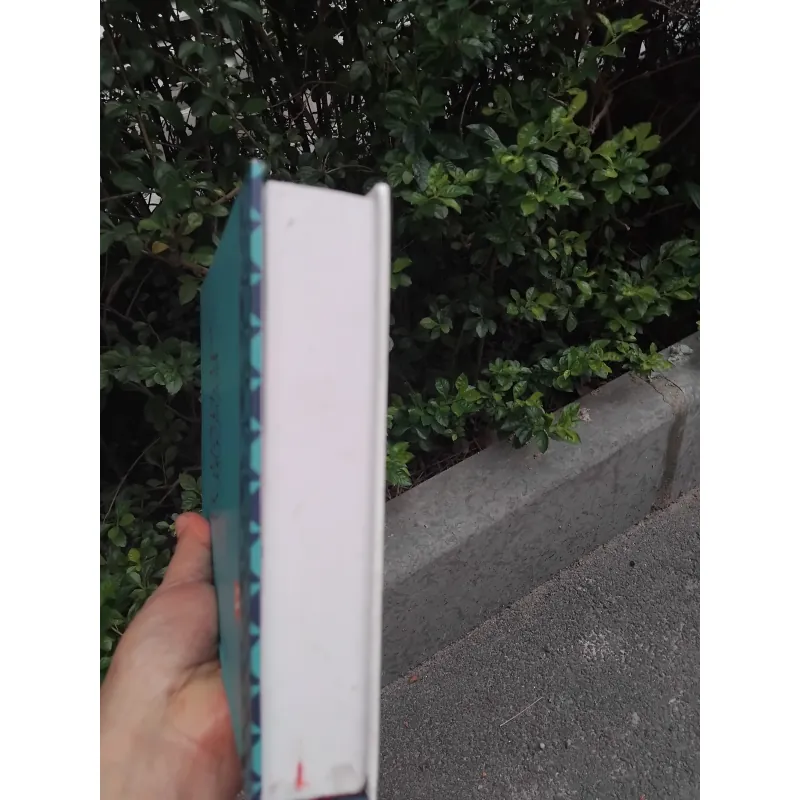 Các dân tộc ít người ở Việt Nam ( các tỉnh phía Nam )  1001906