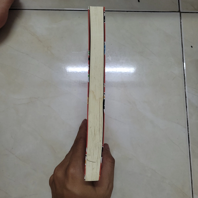Tiểu thuyết Chúa Ruồi 453340